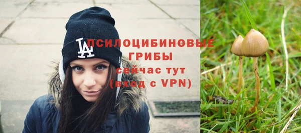PSILOCYBIN Алексеевка