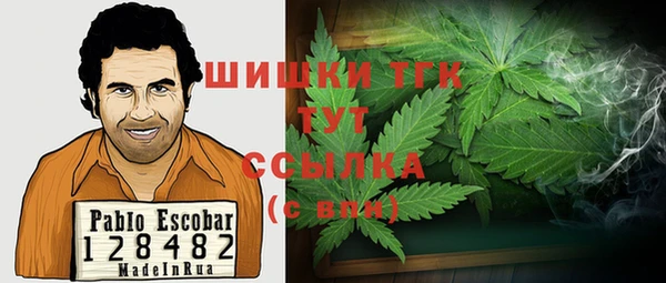 PSILOCYBIN Алексеевка