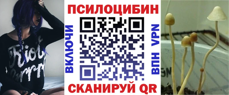 где можно купить наркотик  Первоуральск  Псилоцибиновые грибы Cubensis 