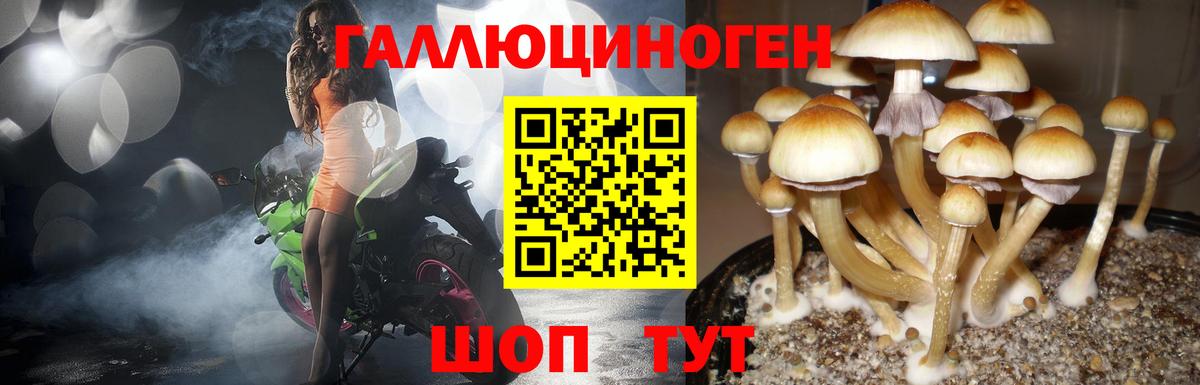 Галлюциногенные грибы Cubensis Первоуральск